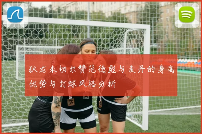 狄龙米切尔赞范德彪与麦丹的身高优势与打球风格分析