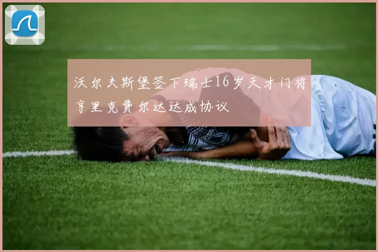 沃尔夫斯堡签下瑞士16岁天才门将亨里克费尔达达成协议