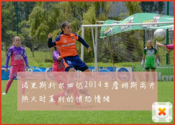 诺里斯科尔回忆2014年詹姆斯离开热火时莱利的愤怒情绪